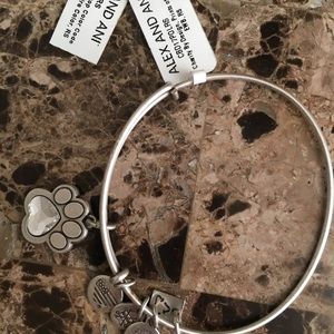 Alex and Ani bracelet